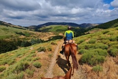 Jamiroquai Del Quinta