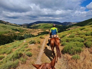 Jamiroquai Del Quinta