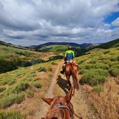 Jamiroquai et Isabelle