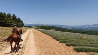 rando_cheval_cavalquinta_2019_ouverture_101