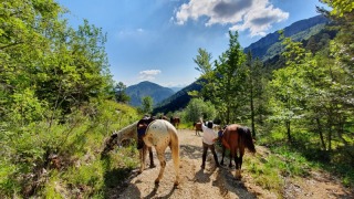 rando_cheval_cavalquinta_2019_ouverture_321