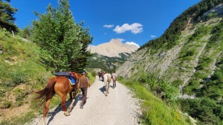 rando_cheval_cavalquinta_2019_ouverture_531