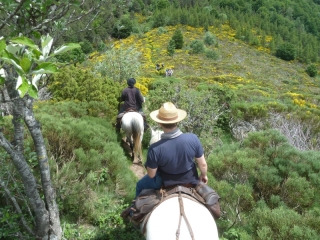 Randonnées à cheval 2012