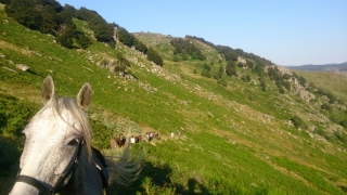 Randonnée à cheval 2013