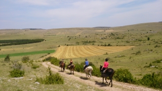 Randonnée à cheval 2013