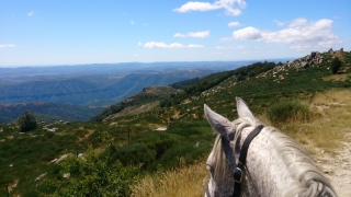 Randonnée à cheval 2013
