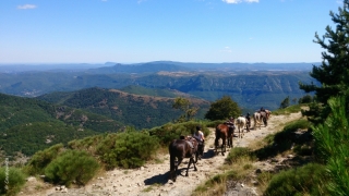 Randonnée à cheval 2013