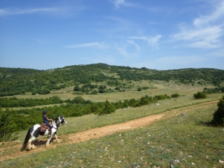 Randonnée à cheval 2014