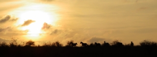 Randonnée à cheval 2014