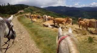 Randonnée à cheval 2014