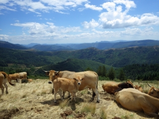 Randonnée à cheval 2014