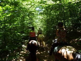 Randonnée à cheval 2014