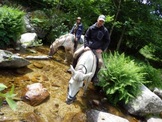 Randonnée à cheval 2014