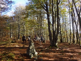 Randonnée à cheval 2014