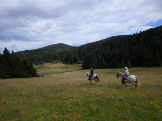 Randonnée à cheval 2014