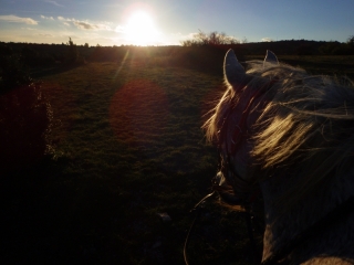 Randonnée à cheval 2014
