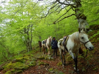 Randonnée à cheval 2014