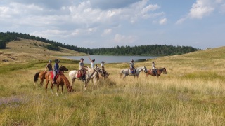 1_rando_cheval_cavalquinta_2019_auvergne_71