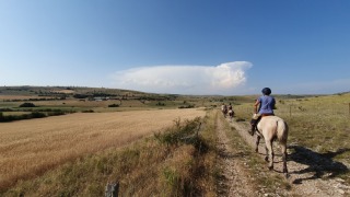 rando_cheval_cavalquinta_2019_auvergne_121