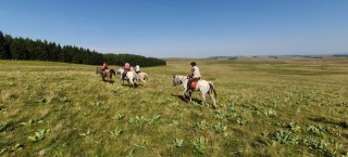 rando_cheval_cavalquinta_2019_auvergne_151