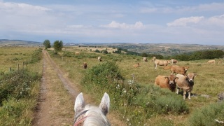 rando_cheval_cavalquinta_2019_auvergne_171