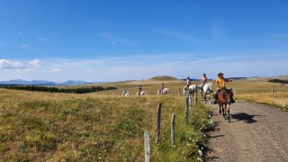 rando_cheval_cavalquinta_2019_auvergne_61