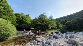 rando_cheval_cavalquinta_2019_auvergne_92