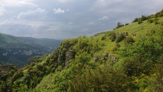 randonnee cheval cevennes 2018 (13)