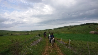 randonnee cheval cevennes 2018 (19)