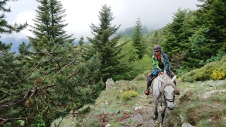 randonnee cheval cevennes 2018 (21)