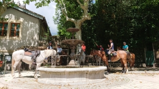 randonnee cheval cevennes 2018 (23)