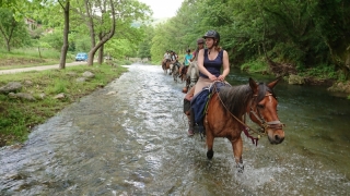 randonnee cheval cevennes 2018 (24)