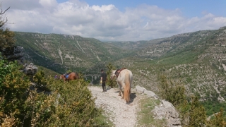 randonnee cheval cevennes 2018 (3)