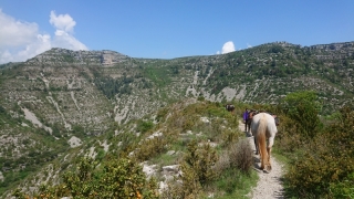 randonnee cheval cevennes 2018 (5)