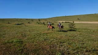 randonnee cheval cevennes auvergne 2018  (2)