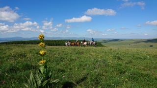 randonnee cheval cevennes auvergne 2018  (24)