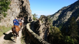 randonnee cheval cevennes canigou 2018  (17)