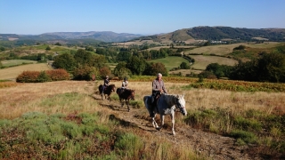 randonnee cheval cevennes canigou 2018  (6)