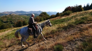 randonnee cheval cevennes canigou 2018  (7)