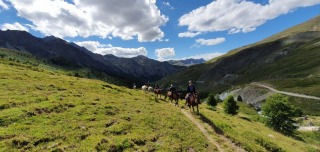 randonnee-cheval-cavalquinta-2020-alpes-26