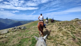 rando-cheval-cavqluinta-2023-102