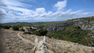 rando-cheval-cavqluinta-2023-13