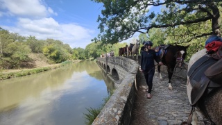 rando-cheval-cavqluinta-2023-22