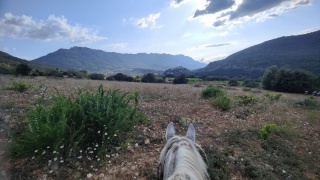 rando-cheval-cavqluinta-2023-28