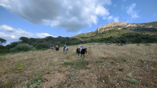 rando-cheval-cavqluinta-2023-29