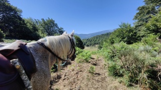 rando-cheval-cavqluinta-2023-37