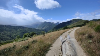 rando-cheval-cavqluinta-2023-38