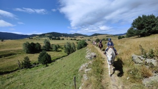 rando-cheval-cavqluinta-2023-42
