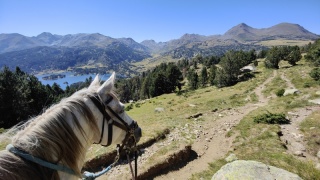 rando-cheval-cavqluinta-2023-48