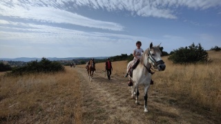 rando-cheval-cavqluinta-2023-5